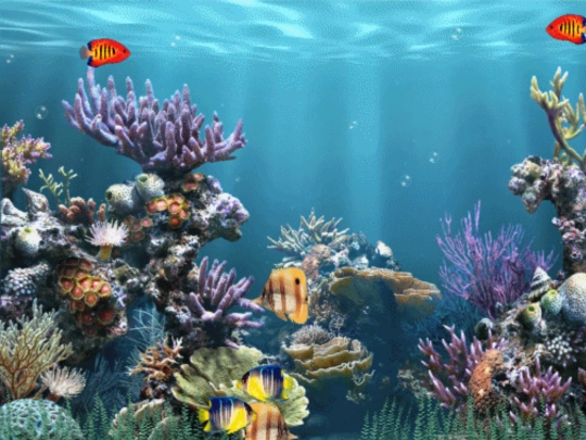 Aquarium/Aquarium screenshot