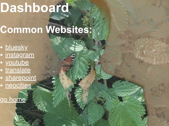 dashboard screenshot