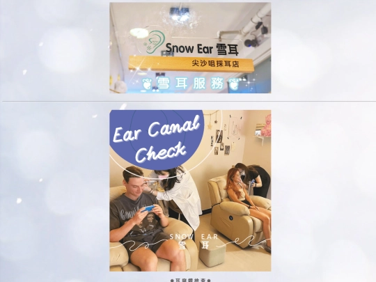 EarServices screenshot