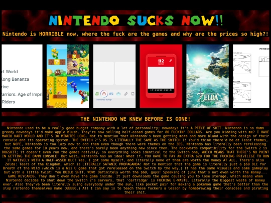 NintendoSucksNow screenshot