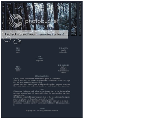 thicketweb screenshot