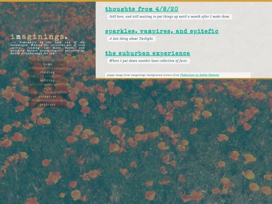 writing/reflect screenshot