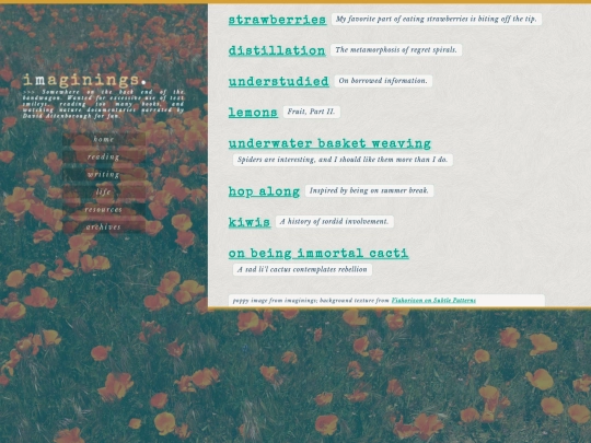 writing/scraps screenshot