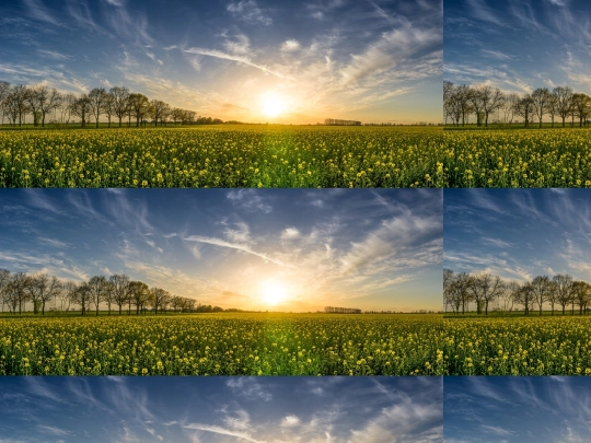 Practicas/Practica10/campo screenshot