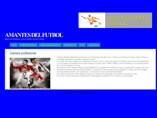 Carrera profesional screenshot