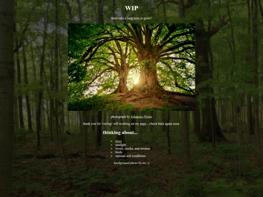 homepage screenshot