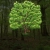 picturesoftrees.neocities.org avatar