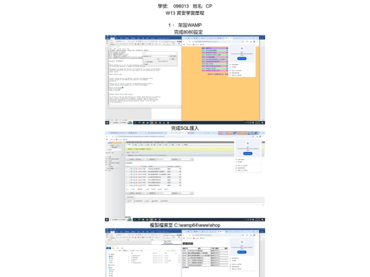 W13_session_cookie_20250514 screenshot