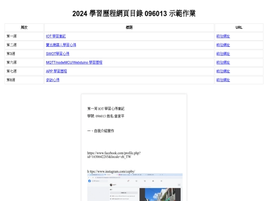 middleterm_report screenshot