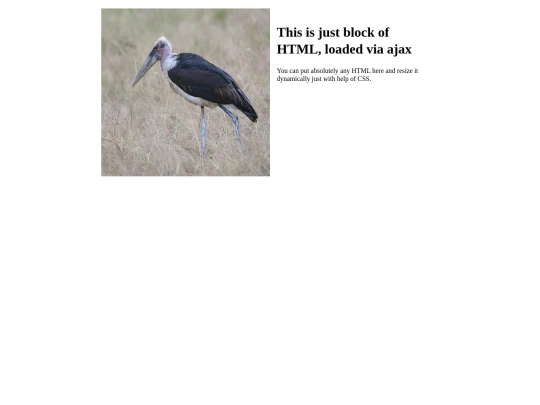 js/Magnific-Popup/website/site-assets/ajax/test-ajax-2 screenshot