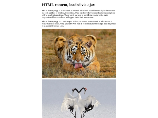 js/Magnific-Popup/website/site-assets/ajax/test-ajax screenshot