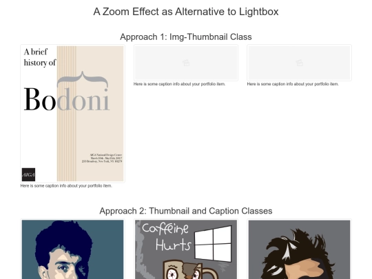 zoom screenshot