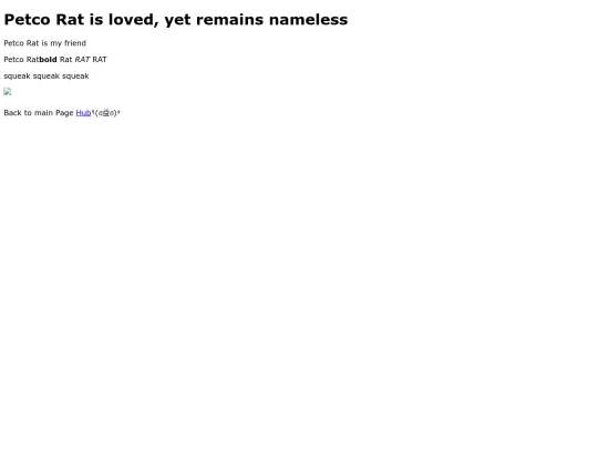 PetcoRatsBlog screenshot