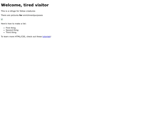 VoidisHome screenshot
