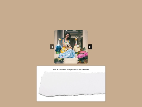 Journal screenshot