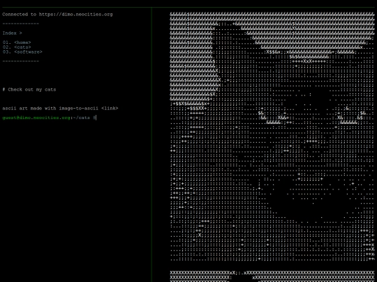 cats screenshot