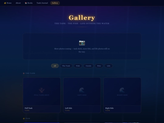 backups/2026-06-28_13-20-48/gallery screenshot