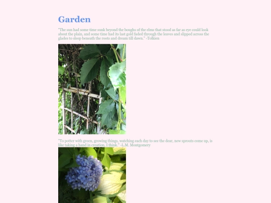 garden screenshot