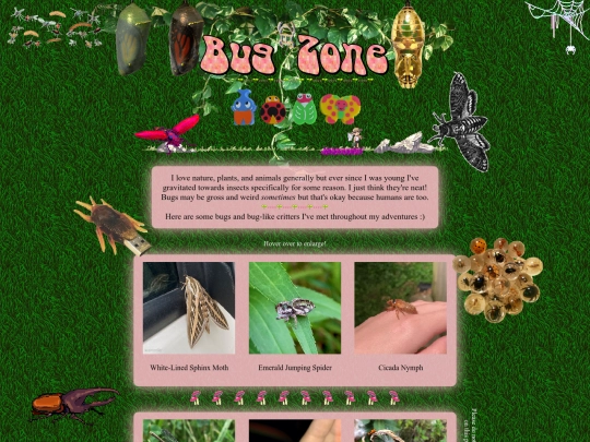 bug screenshot