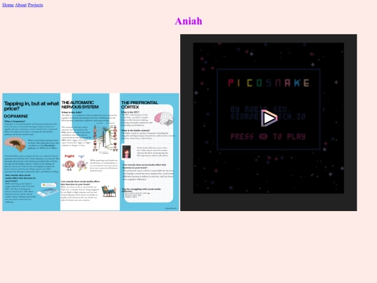 projects screenshot