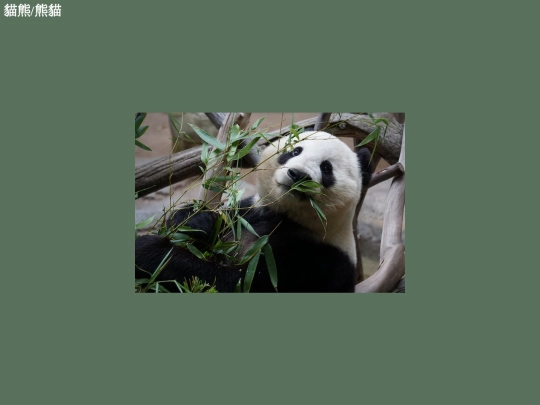 2022-11-14/test02 screenshot
