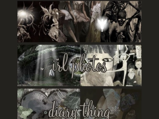 blog-irlphotos screenshot