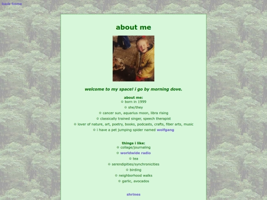 website pages/about screenshot