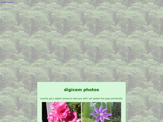 website pages/digicam screenshot