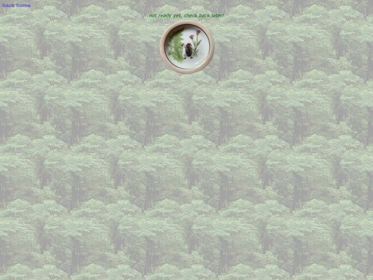 website pages/error screenshot