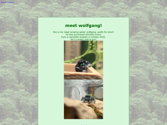 website pages/wolfie screenshot