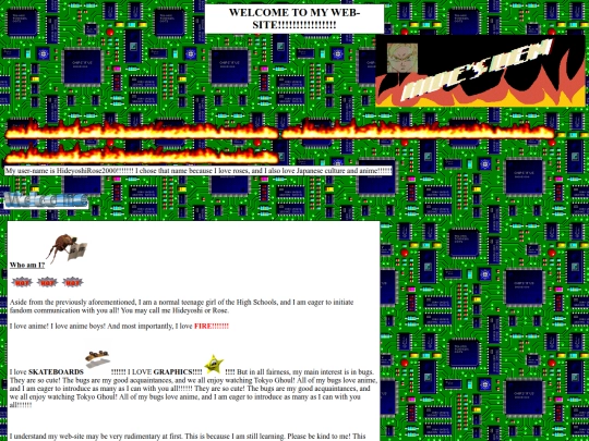 page graphics/hideyoshi/hidesden screenshot