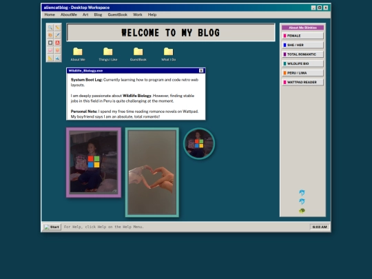 new web screenshot