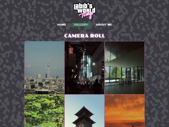 gallery screenshot
