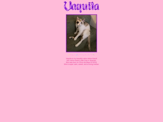 vaquita screenshot