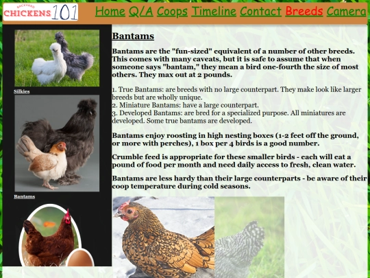 HTML/Bantams screenshot