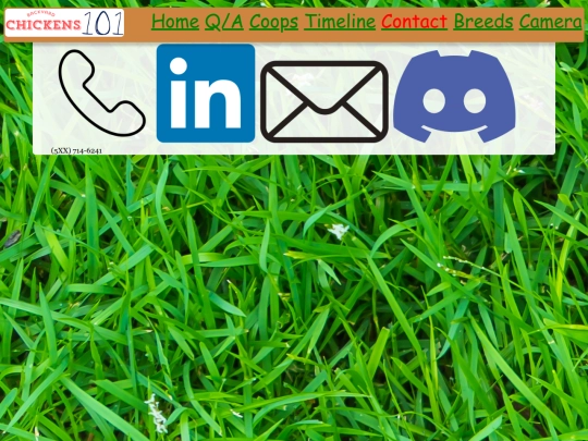 HTML/Contact screenshot