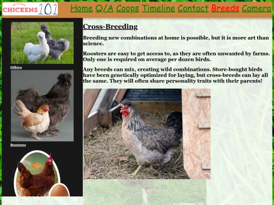 HTML/Cross-Breeding screenshot