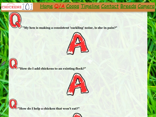 HTML/QandA screenshot