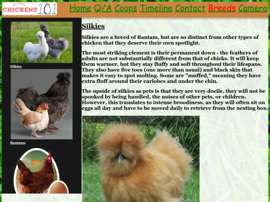 HTML/Silkies screenshot