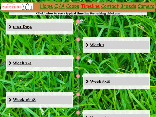 HTML/Timeline screenshot
