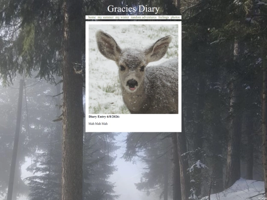mywinter screenshot