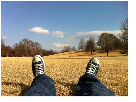 imagesloaded-master/sandbox/picture screenshot