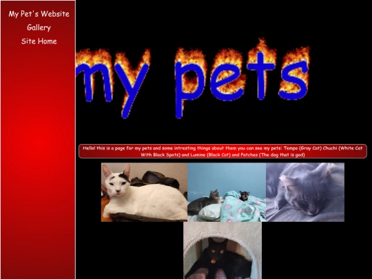 petloreindex screenshot