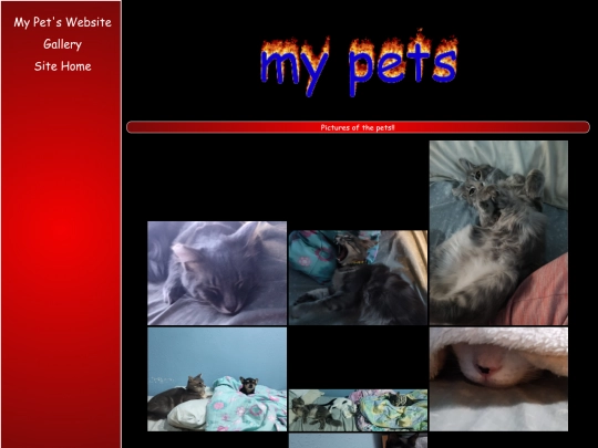 petpictures screenshot