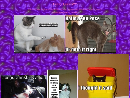 lolcats screenshot