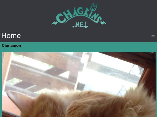 cinnamon screenshot