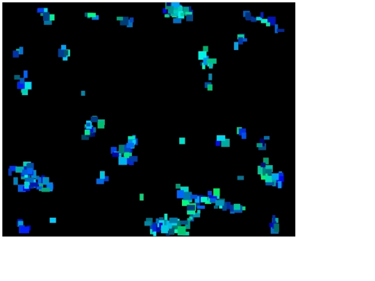 misc-pages/gravity/gravity3 screenshot