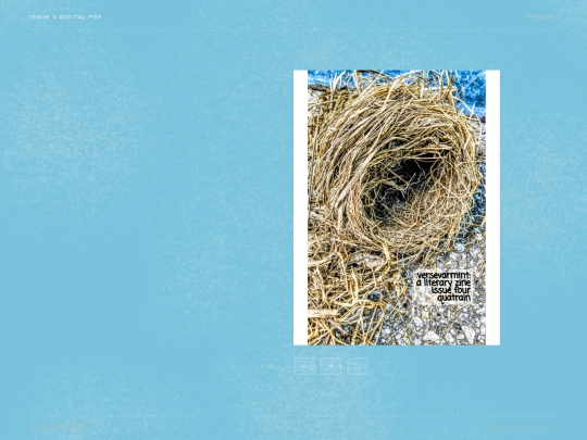 issuefour screenshot
