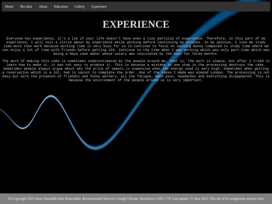 EXPERIENCE screenshot