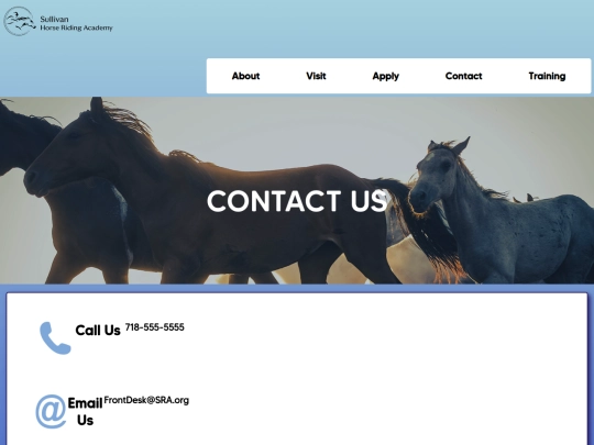 HorseAcademySite/contact screenshot